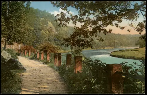 Ansichtskarte Rochsburg-Lunzenau Partie an der Mulde 1915