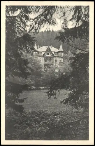 Ansichtskarte Waldbärenburg-Altenberg (Erzgebirge) Haus Bergfried 1927