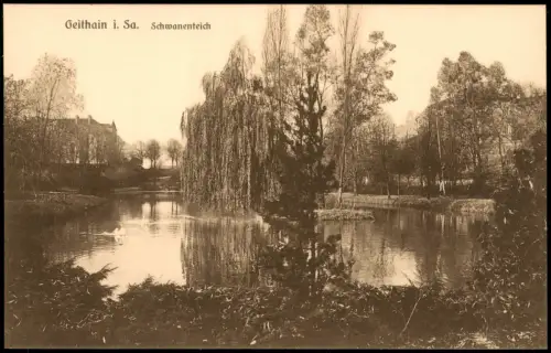 Ansichtskarte Geithain Partie am Schwanenteich 1925