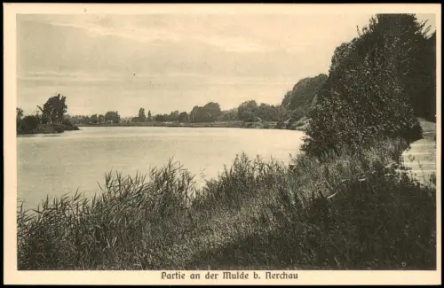 Ansichtskarte Nerchau-Grimma Partie an der Mulde 1925