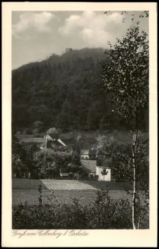 Ansichtskarte Collm-Wermsdorf Stadtpartie Collmberg 1928