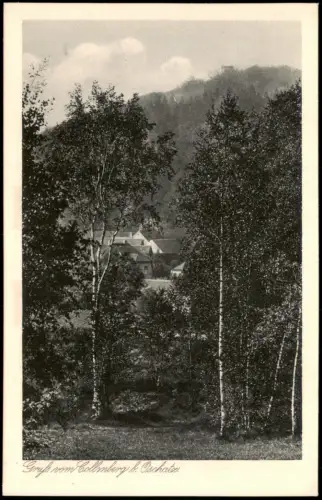 Ansichtskarte Collm-Wermsdorf Collmberg Birkenwald 1930