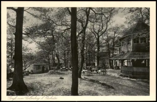 Ansichtskarte Collm-Wermsdorf Collmberg Restauration 1928