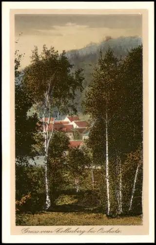 Ansichtskarte Collm-Wermsdorf Collmberg Birken 1928