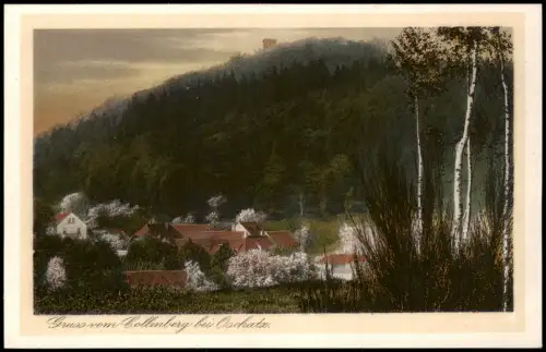 Ansichtskarte Collm-Wermsdorf Collmberg Stadt Baumblüte 1928