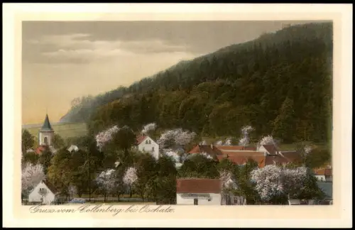 Ansichtskarte Collm-Wermsdorf Collmberg Stadt baumblüte 1926