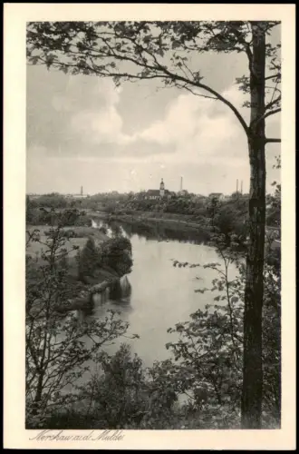 Ansichtskarte Nerchau-Grimma Panorama und Mulde 1929