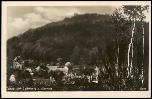 Ansichtskarte Collm-Wermsdorf Stadtpartie Collmberg Fotokarte 1929