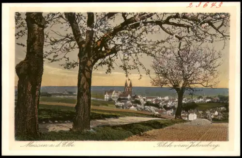 Ansichtskarte Meißen Blick von Jahnaberg - Baumblüte 1926