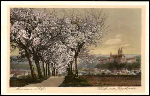 Ansichtskarte Meißen Blick von Proschwitz - Allee Baumblüte 1926