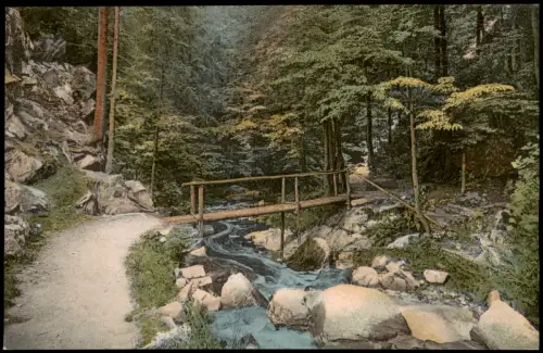 Ansichtskarte Rochsburg-Lunzenau Eingang zum Brauseloch Brück 1924
