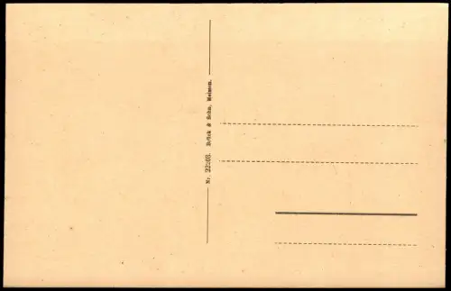 Ansichtskarte Bad Elster Stadthäuser 1923