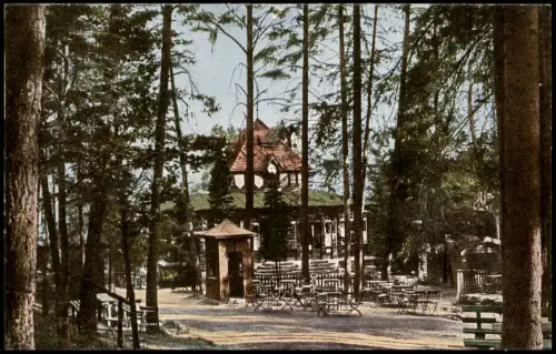 Ansichtskarte Bad Elster Restaurant Café Waldquelle 1919