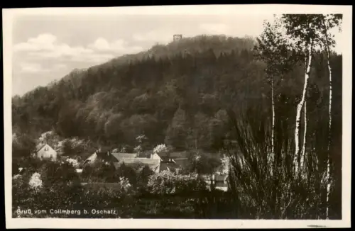 Ansichtskarte Collm-Wermsdorf Stadtpartie Collmberg Fotokarte 1929