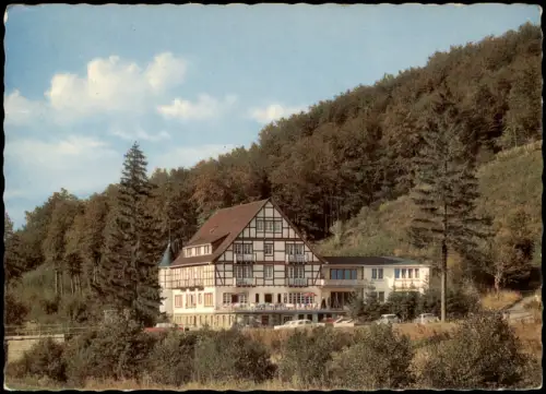 Ansichtskarte Wiemeringhausen-Olsberg Hotel Restaurant, HAUS WILDENSTEIN 1966