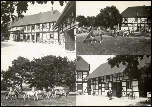 Ansichtskarte Wartjenstedt-Baddeckenstedt 4 Bild Ponyhof Binder Mühle 1969