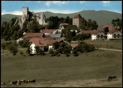 Ansichtskarte Weißenstein-Regen Stadtpartie Colorfotokarte 1971