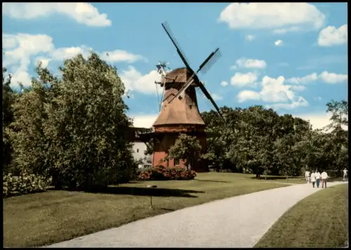 Ansichtskarte Bad Zwischenahn Windmühle Ammerländer Mühle 1965