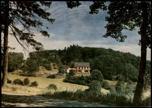 Ansichtskarte Brilon (Sauerland) Waldpension 1978