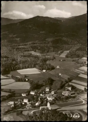 Ansichtskarte Oberried (Bay. Wald) Luftbild Luftaufnahme 1964