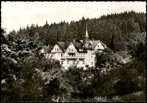 Ansichtskarte Hölle im Frankenwald Hotel König David - Fotokarte 1968