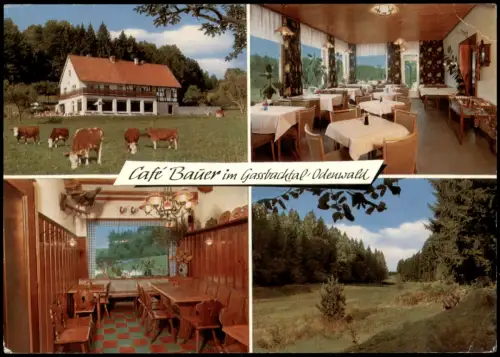 Ansichtskarte Hammelbach-Grasellenbach Cafe Bauer Gastraum 4 Bild 1978