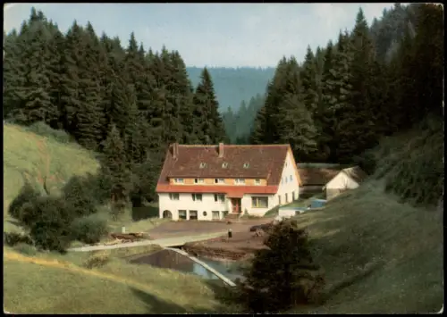 Ansichtskarte Besenfeld-Seewald Freizeitheim Schwarzwaldmühle 1968
