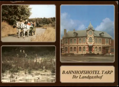 Ansichtskarte Tarp (Amt Oeversee) 3 Bild Bahnhofshotel Kutsche 1989