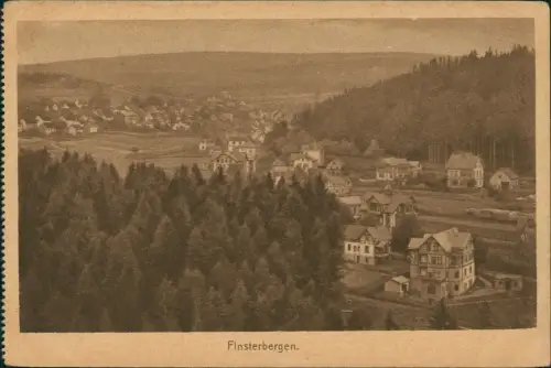 Ansichtskarte Finsterbergen-Friedrichroda Panorama-Ortsansicht 1910
