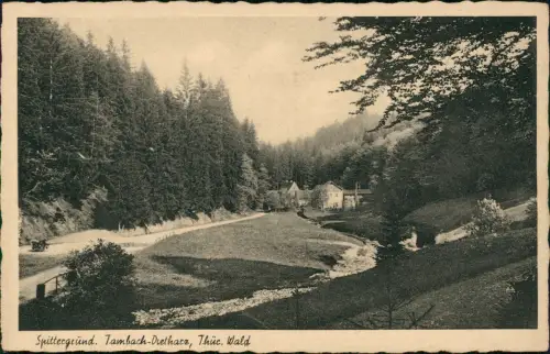 Ansichtskarte Tambach-Dietharz Umland-Ansicht Partie im Spittergrund 1920