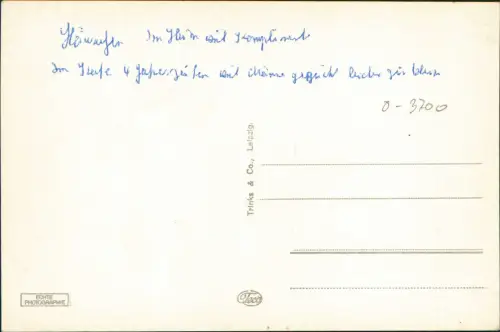 Ansichtskarte Wernigerode Rathaus, Rathaus-Treppe 1940