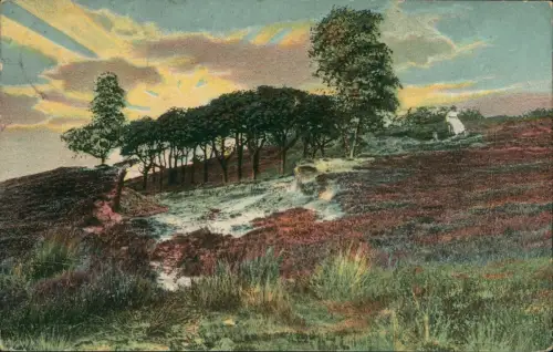 Ansichtskarte Lüneburger Heide Lüneburger Heide Heidelandschaft 1914 Bahnpost
