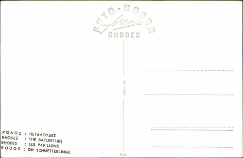 Postcard Rhodos RHODES Schmetterlinge Butterfly 1950