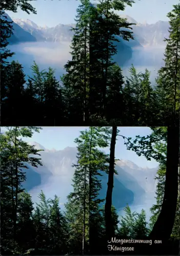Ansichtskarte  Stimmungsbil Natur Morgenstimmung am Königssee 1980