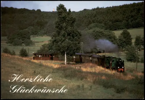 .Mecklenburg-Vorpommern Dampfzug der Rügenschen Kleinbahn bei Seelvitz 1995