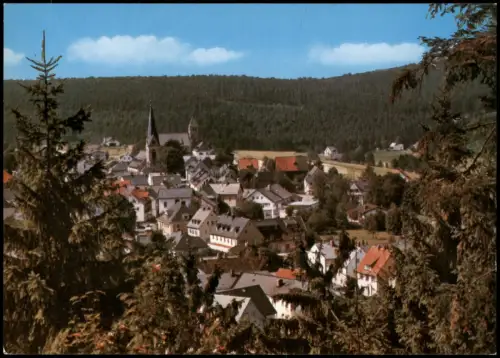 Ansichtskarte Bischofsgrün Blick auf die Stadt 1978