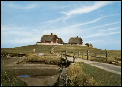 Ansichtskarte Hallig Hooge Westerwarft 1973