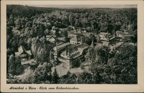 Alexisbad-Harzgerode Panorama-Ansicht Harz - Blick vom Birkenhäuschen 1953