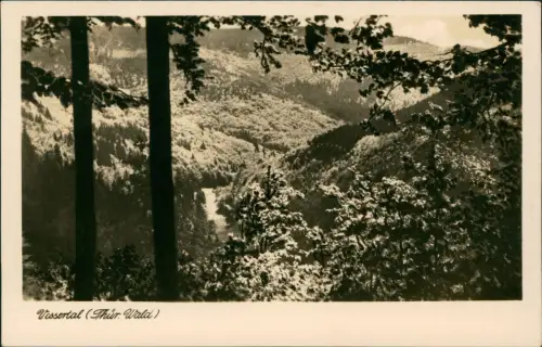 .Thüringen Thüringer-Wald (Allgemein) Partie im Vessertal zur DDR-Zeit 1955