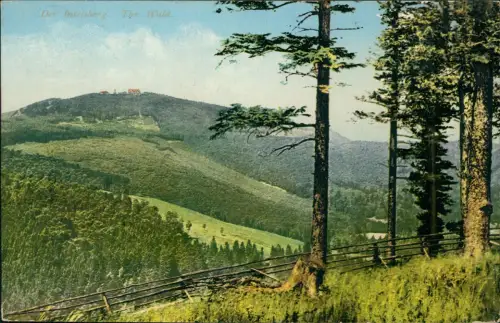 Ansichtskarte Brotterode Der Inselsberg im Thüringer Wald 1917