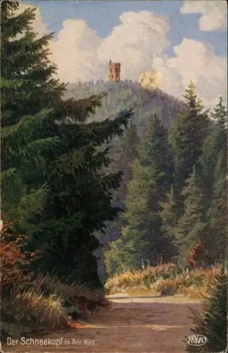 Ansichtskarte Gehlberg Schneekopf im Thür. Wald - Künstler AK 1918