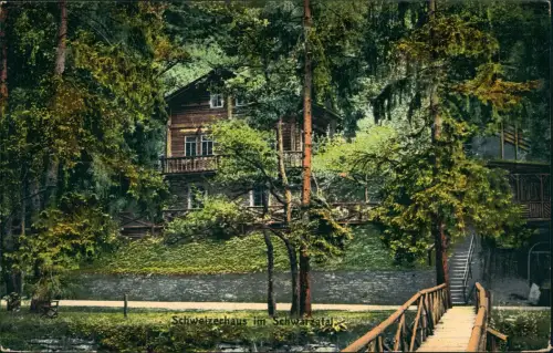 Ansichtskarte Schwarzburg Partie am Schweizerhaus im Schwarzatal 1910