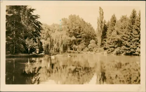 Ansichtskarte Bad Liebenstein Partie im Park zur DDR-Zeit 1955