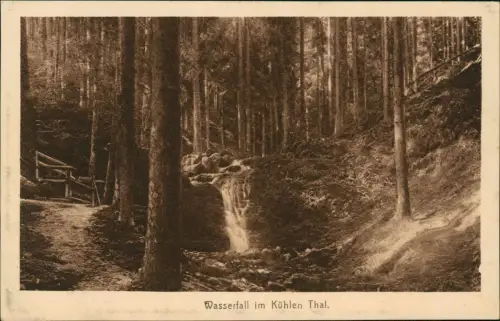 .Thüringen Thüringer-Wald (Allgemein) Wasserfall im Kühlen Thal 1922