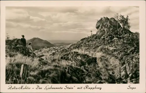 Zella-Mehlis Umland-Ansichten „Gebrannte Stein" mit Ruppberg 1957