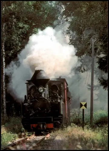 Ansichtskarte .Sachsen Schmalspurbahn Waldeisenbahn Muskau 2007