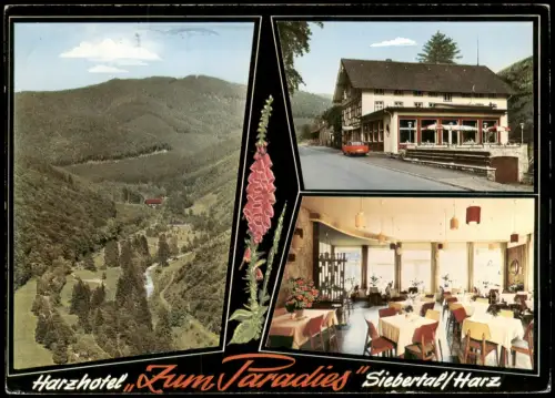 Ansichtskarte Herzberg (Harz) 3 Bild Harzhotel Zum Paradies 1972