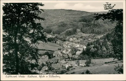 Ansichtskarte Wieda (Harz) Blick vom Füllenberg 1955