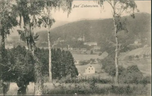 Ansichtskarte Bad Liebenstein Panorama-Ansicht 1910