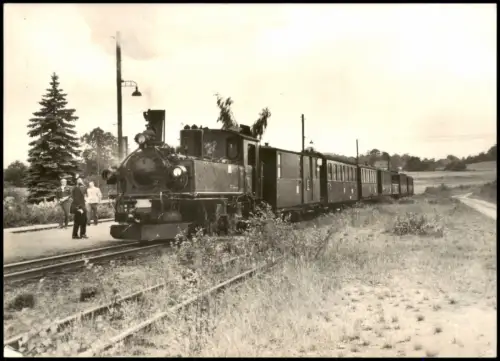 Ansichtskarte Friedewald-Moritzburg Bahnhof - Traditionsbahn 1982